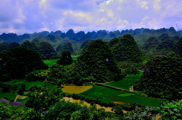 Wanfeng-Wald